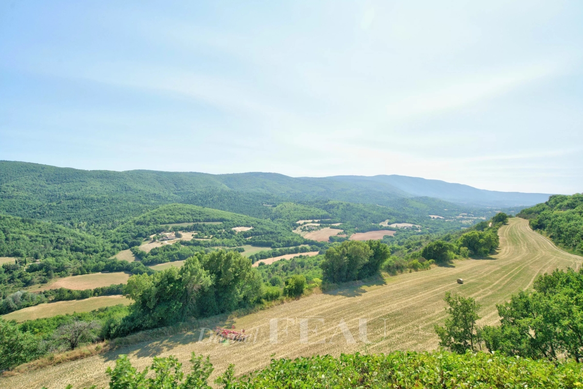 Maison de luxe à vendre à Montjustin, 675 000 €, Photo 7