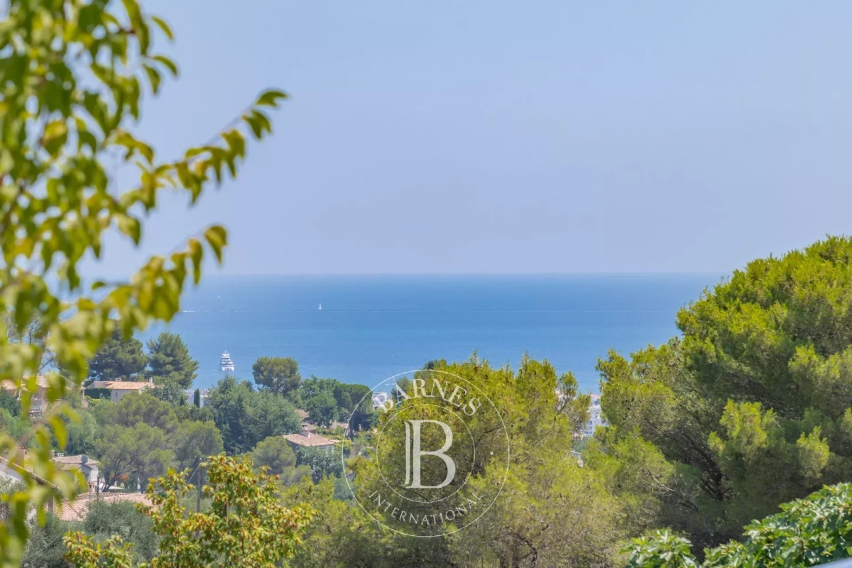 Maison de luxe à vendre à Cagnes-sur-Mer, 2 650 000 €, Photo 3
