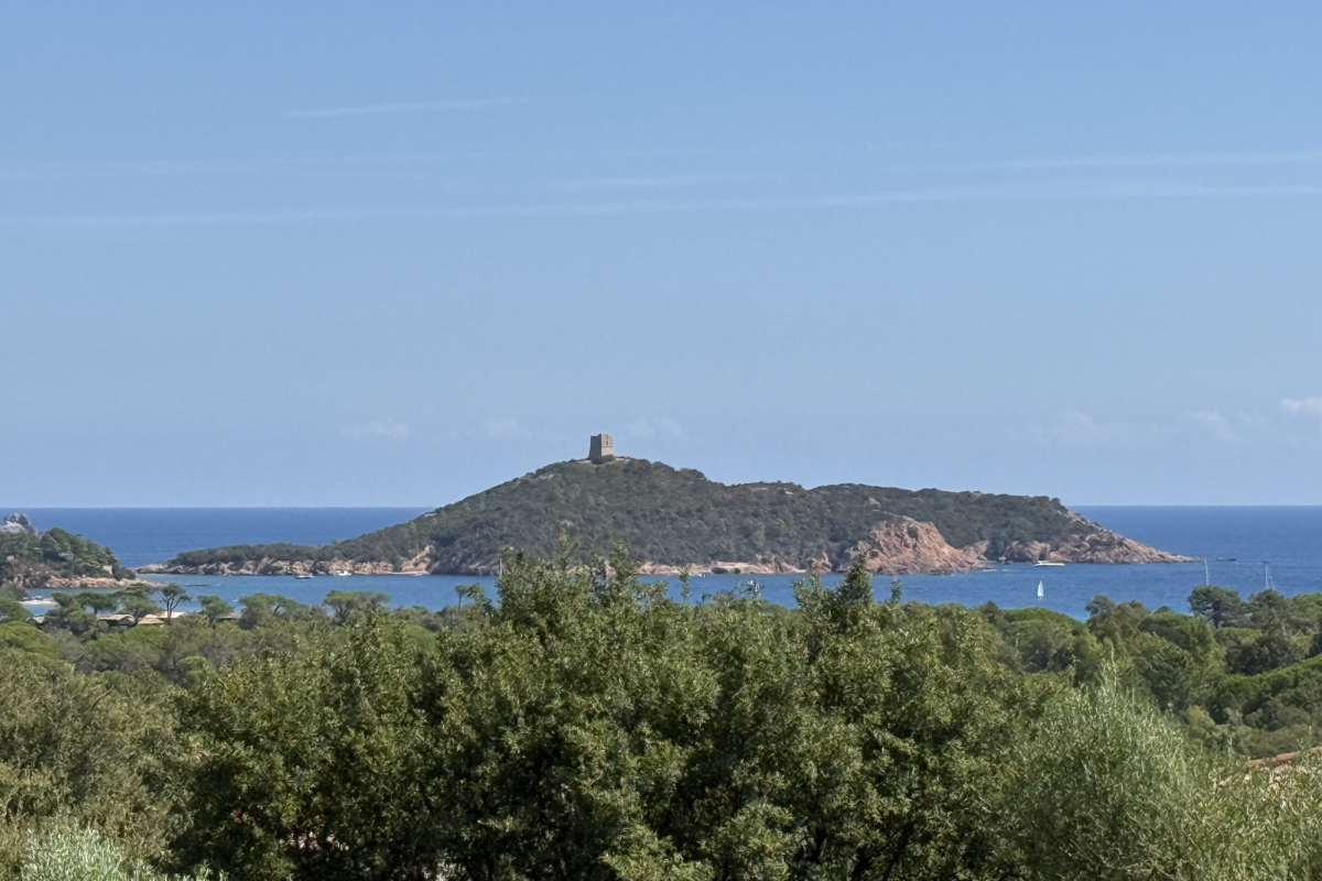 Maison de luxe à vendre à Porto-Vecchio, 1 950 000 €, Photo 3