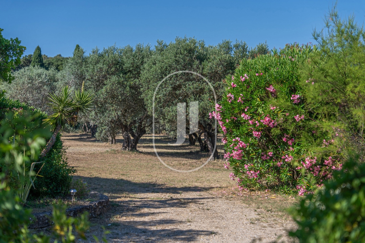 Maison de luxe à vendre à Saint-Rémy-de-Provence, 2 990 000 €, Photo 3