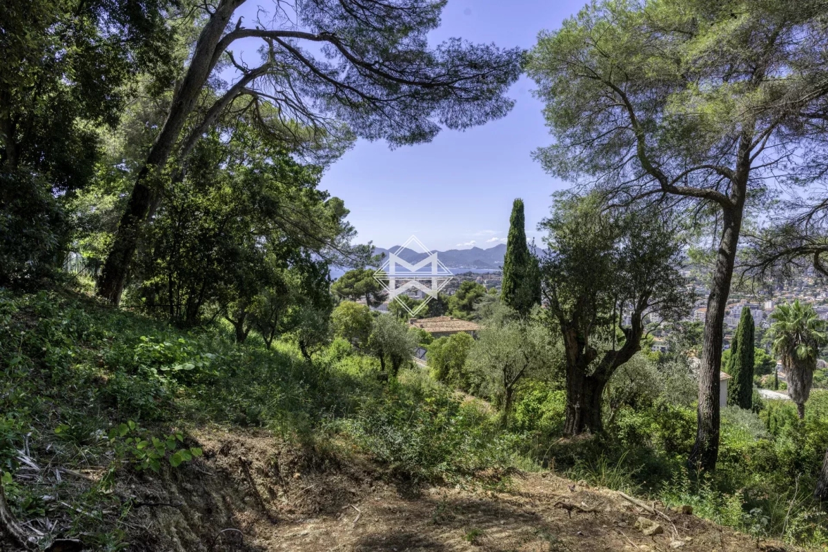 Maison de luxe à vendre à Cannes, 3 900 000 €, Photo 5