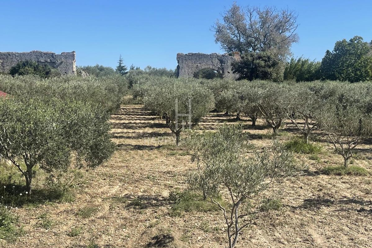 Maison de luxe à vendre à Fontvieille, 895 000 €, Photo 7
