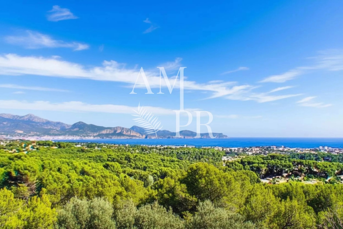 Maison de luxe à vendre à Cannes, 4 200 000 €, Photo 3