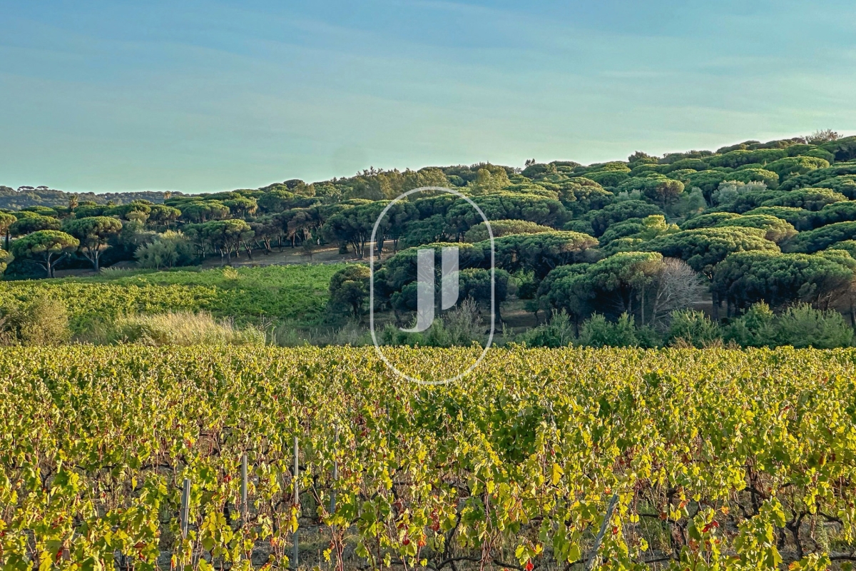 Maison de luxe à vendre à Ramatuelle, 7 500 000 €, Photo 2