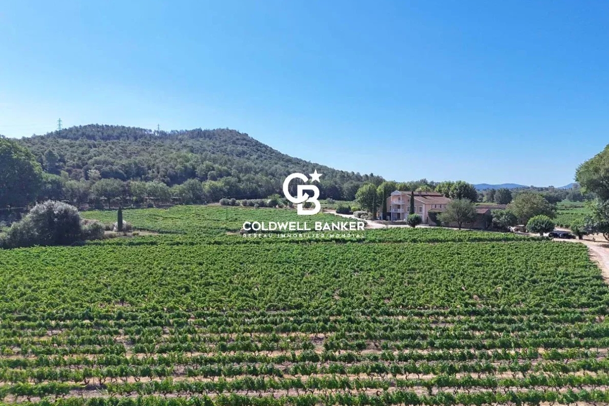 Luxury House for sale in Les Arcs sur Argens, 4 800 000 €, Photo 4