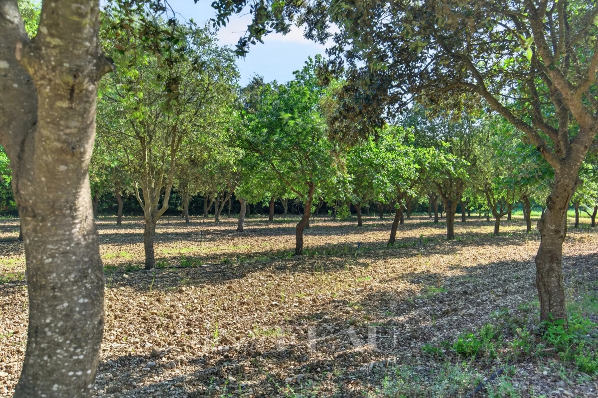 Maison de luxe à vendre à Grignan, 2 980 000 €, Photo 7