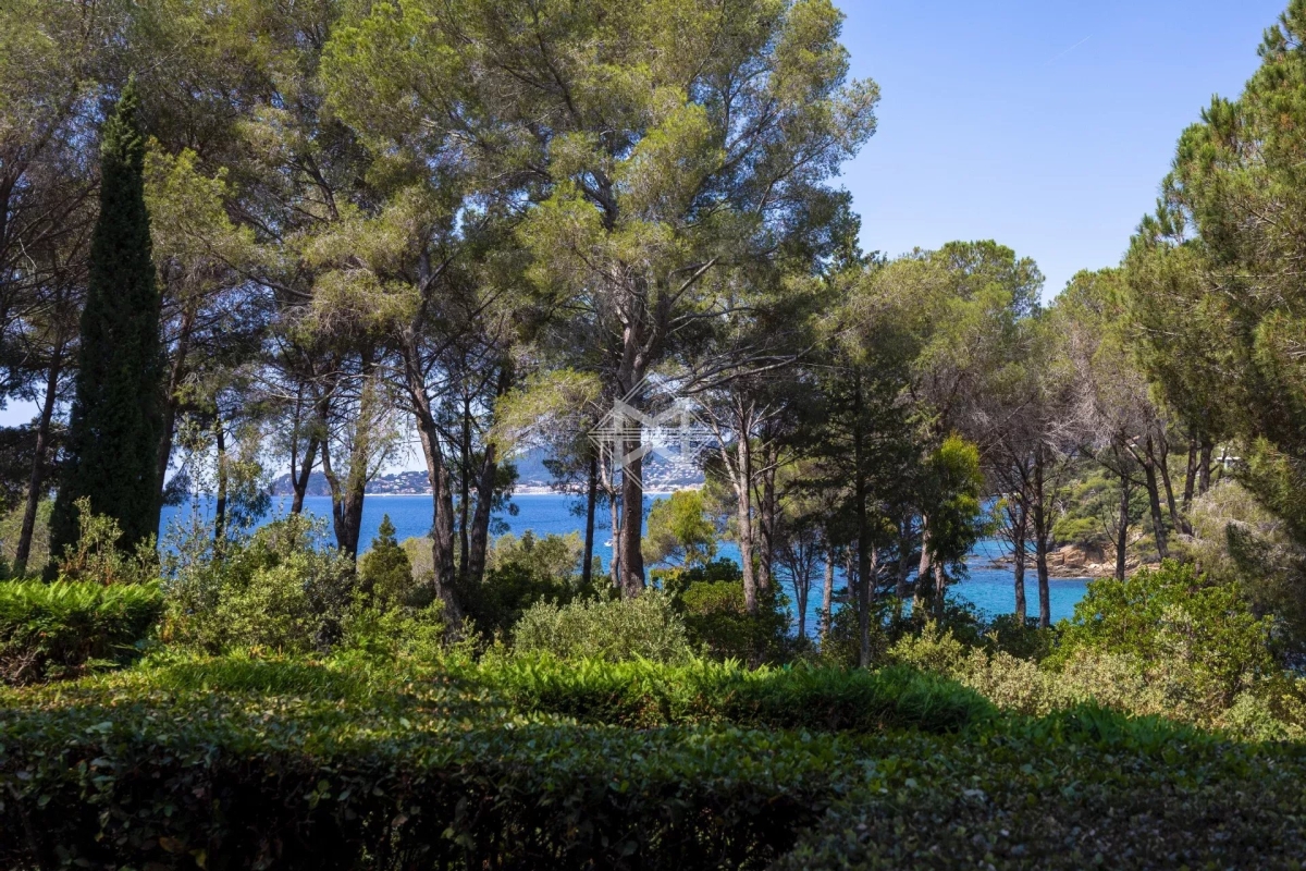 Luxury House for sale in La Croix-Valmer, 6 400 000 €, Photo 5