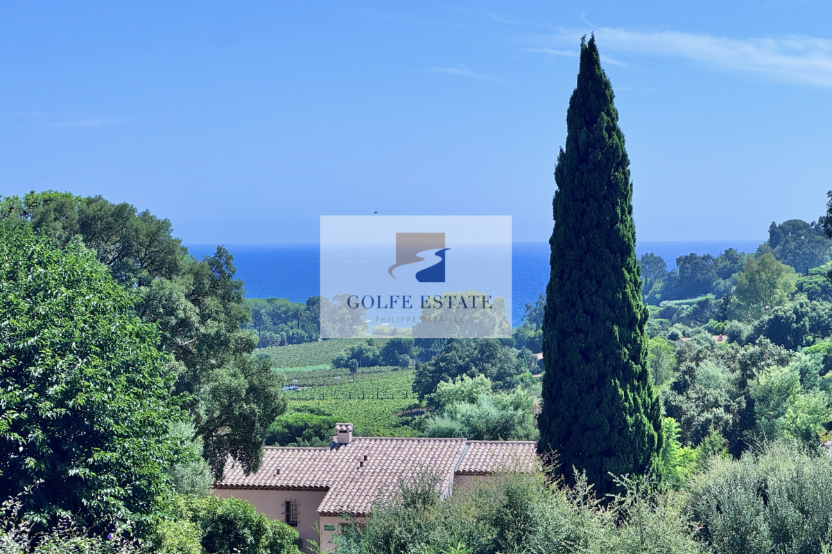 Luxury House for sale in La Croix-Valmer, 3 250 000 €, Photo 1