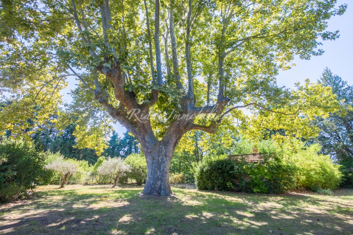 Luxury House for sale in L Isle-sur-La-Sorgue, 657 000 €, Photo 3