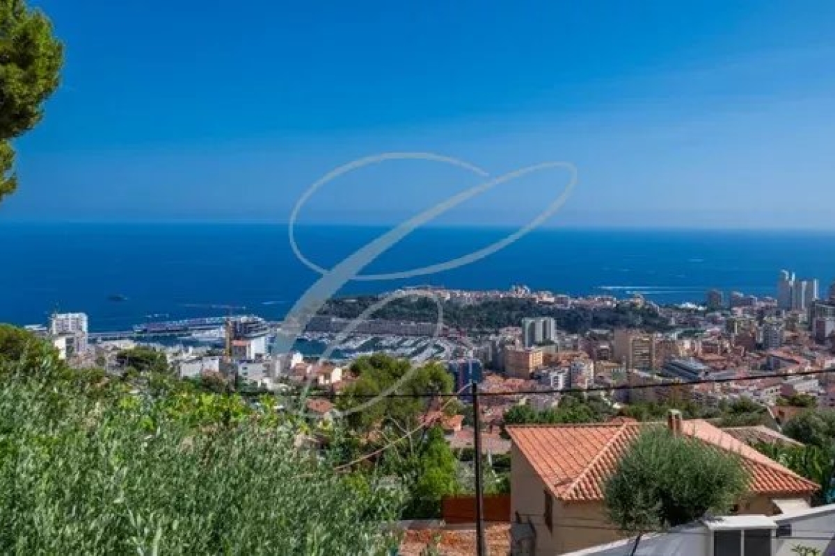 Maison de luxe à vendre à Beausoleil, 6 500 000 €, Photo 2