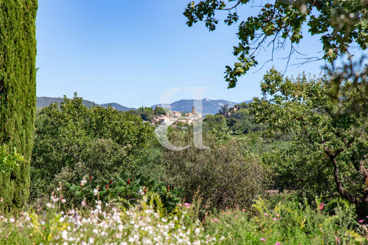Maison de luxe à vendre à Vaison-la-Romaine, 790 000 €, Photo 4