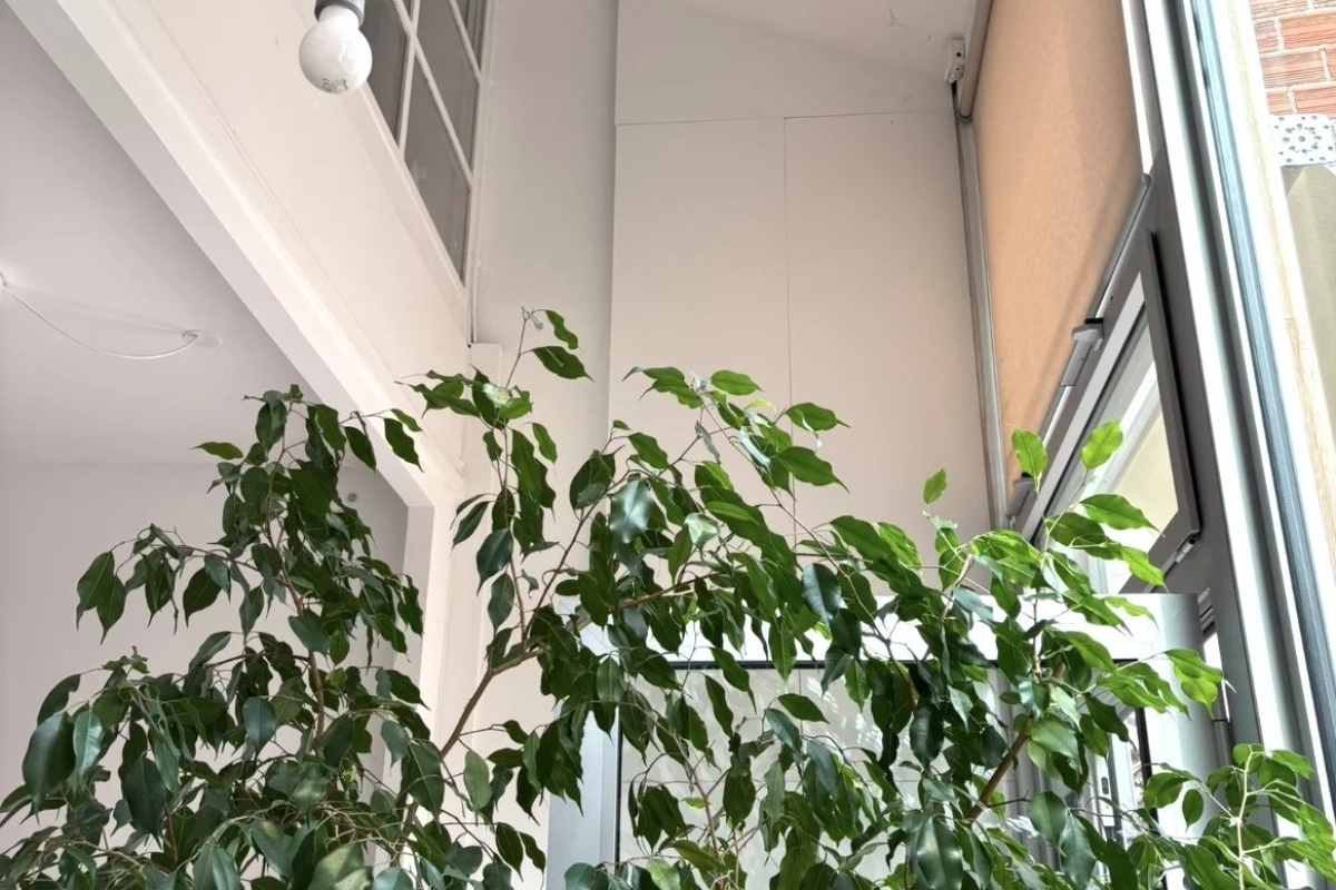 Appartement de luxe à louer à Paris 20ème, 3 700 €, Photo 4
