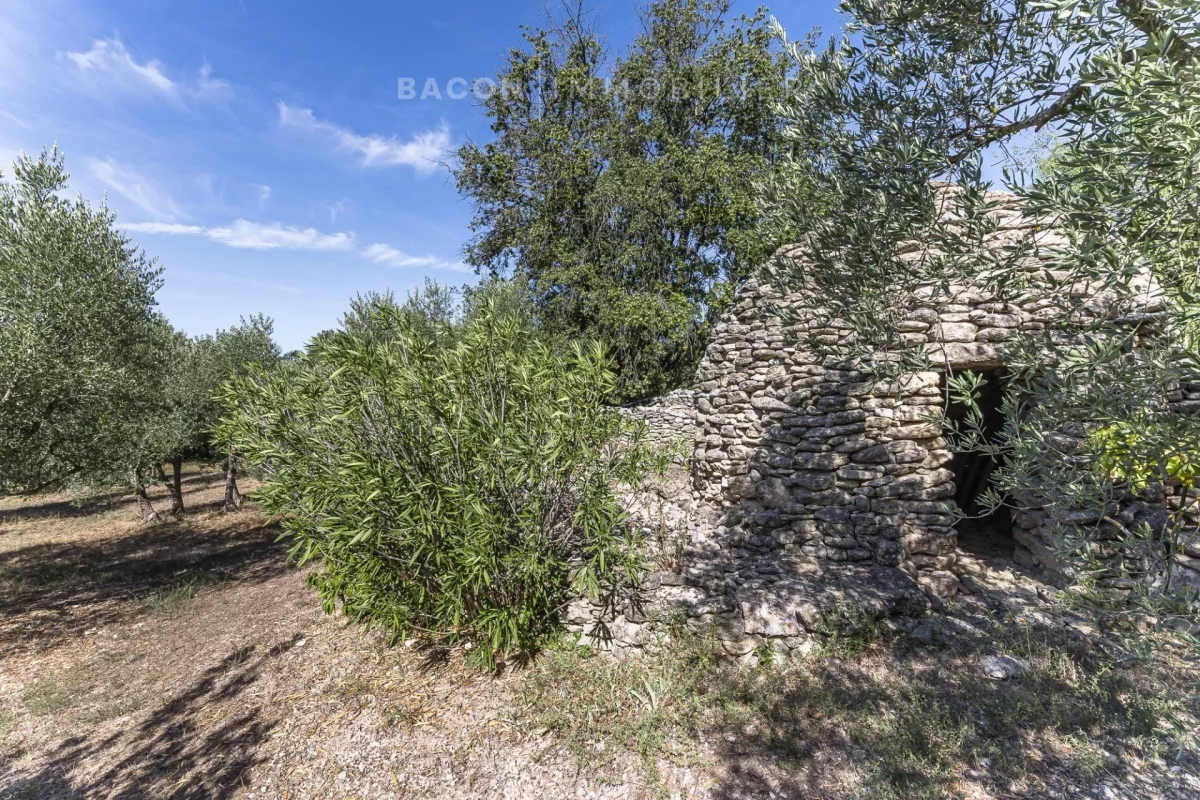 Luxury House for sale in Cabrières-d'Avignon, 595 000 €, Photo 4