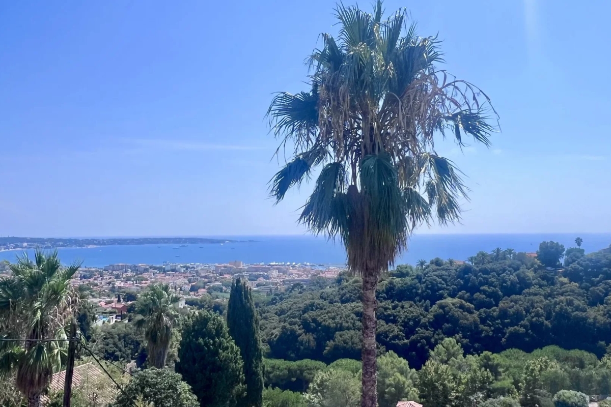 Maison de luxe à vendre à Cannes, 3 800 000 €, Photo 3