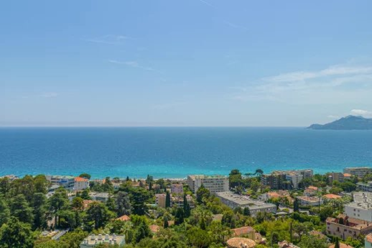 Maison de luxe à vendre à Cannes, 5 775 000 €, Photo 3