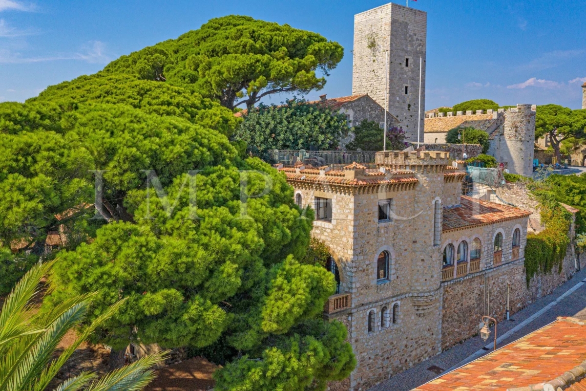 Maison de luxe à vendre à Cannes, 8 500 000 €, Photo 6