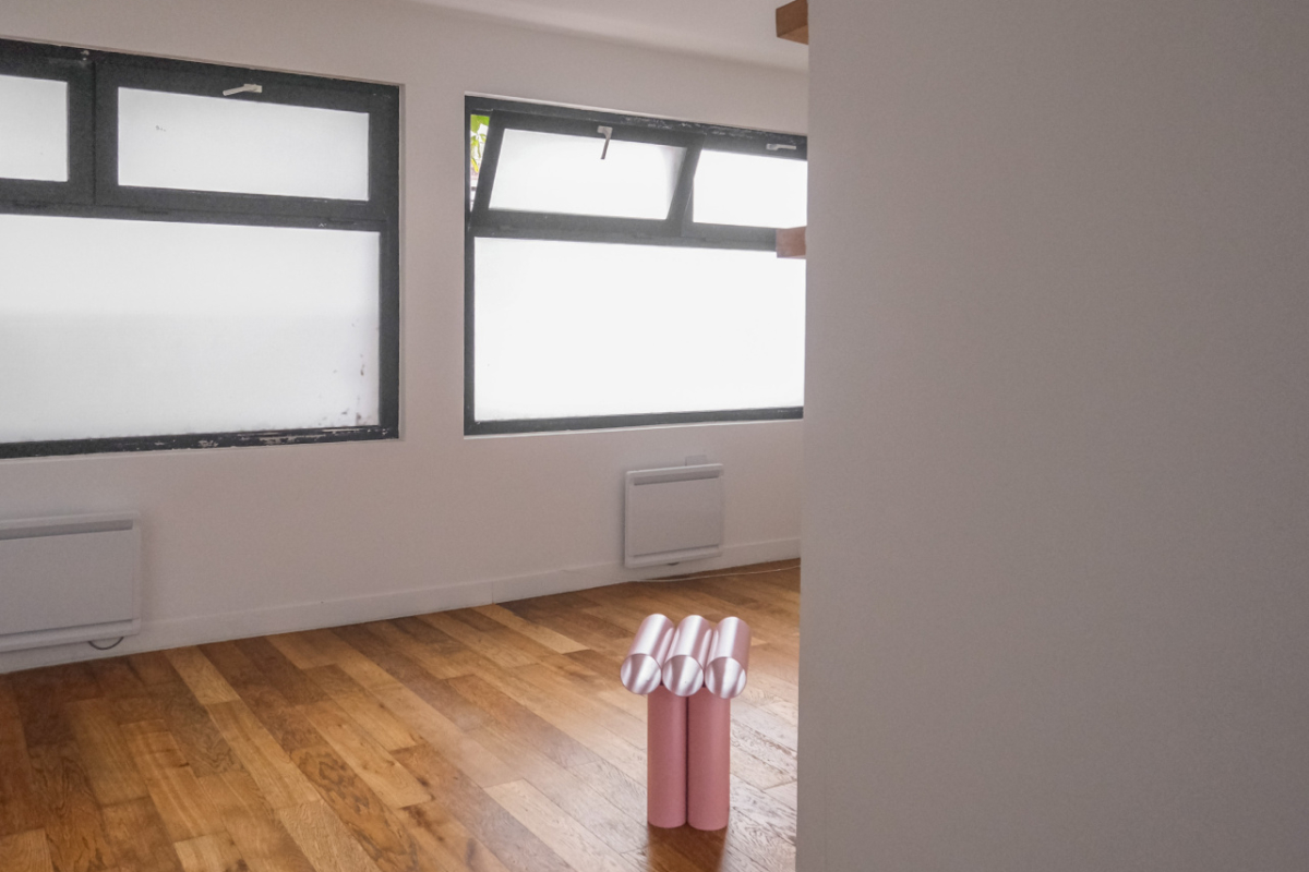 Maison de luxe à vendre à Le Pré-Saint-Gervais, 449 000 €, Photo 5