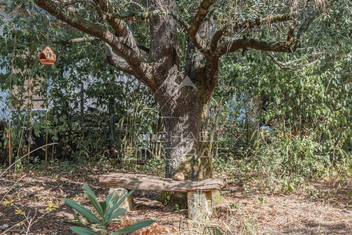 Maison de luxe à vendre à Pyla sur Mer, 1 100 000 €, Photo 6