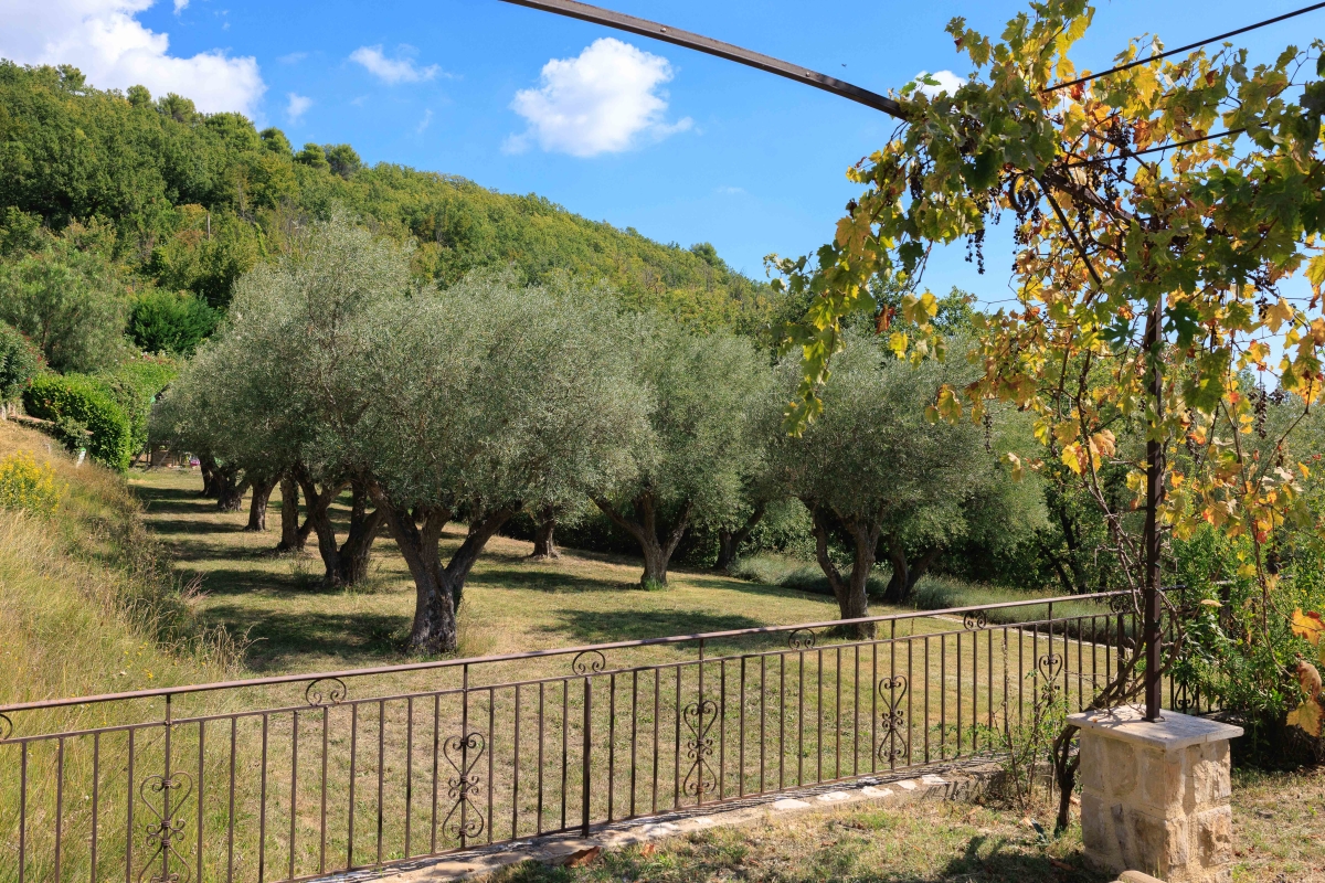 Maison de luxe à vendre à Tourrettes-sur-Loup, 3 700 000 €, Photo 5