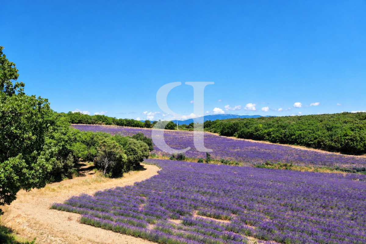 Maison de luxe à vendre à Grignan, 1 450 000 €, Photo 6