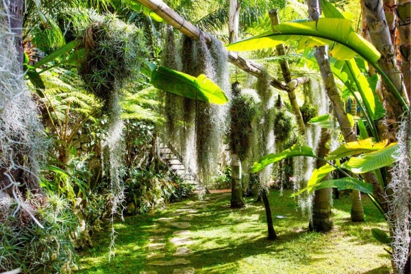 Maison de luxe à vendre à Èze, 2 600 000 €, Photo 3