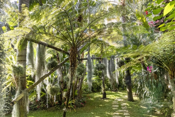 Maison de luxe à vendre à Èze, 2 600 000 €, Photo 6