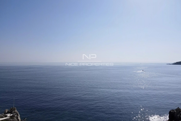 Luxury House for sale in Cap d'Antibes, 8 900 000 €, Photo 5