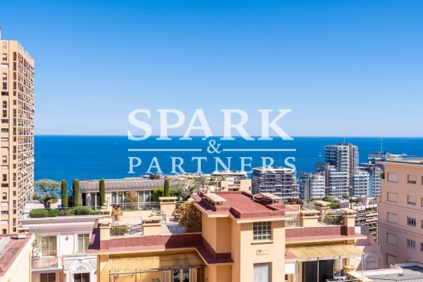 Appartement de luxe à vendre à Monaco, 3 350 000 €, Photo 1