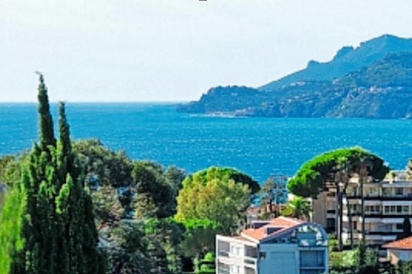 Maison de luxe à vendre à Cannes, 3 688 000 €, Photo 3