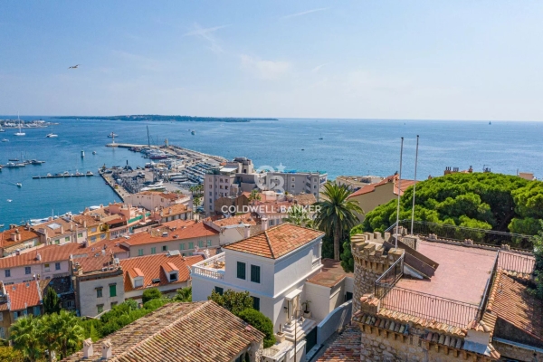 Maison de luxe à vendre à Cannes, 8 500 000 €, Photo 4