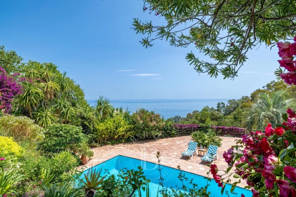 Maison de luxe à louer à Cannes, 13 400 €, Photo 1