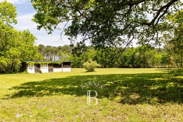 Luxury House for sale in Seignosse, 1 155 000 €, Photo 6