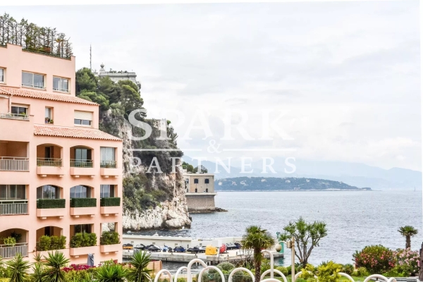 Appartement de luxe à vendre à Monaco, 16 000 000 €, Photo 3