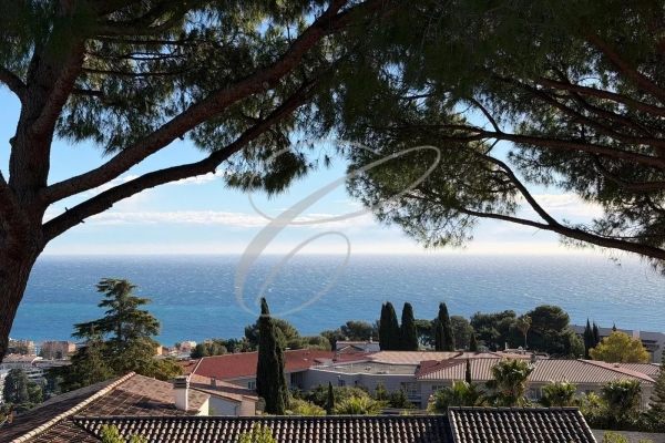 Luxury House for sale in Roquebrune-Cap-Martin, 7 900 000 €, Photo 1