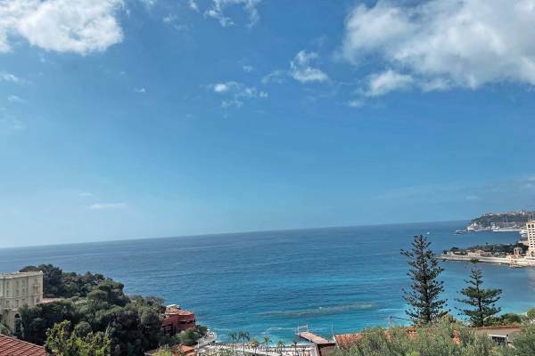 Maison de luxe à vendre à Roquebrune-Cap-Martin, 5 500 000 €, Photo 1