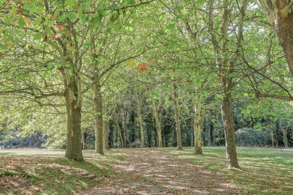Maison de luxe à vendre à Montfort-l'Amaury, 6 300 000 €, Photo 3
