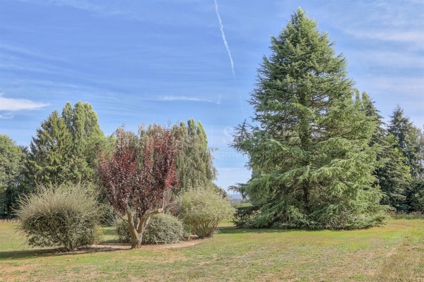 Maison de luxe à vendre à Montfort-l'Amaury, 6 300 000 €, Photo 6