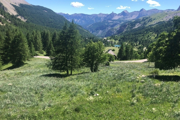 Luxury House for sale in Entraunes, 995 000 €, Photo 3