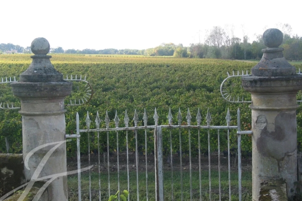 Maison de luxe à vendre à Bordeaux, 2 100 000 €, Photo 4