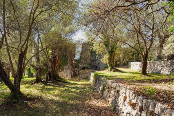 Luxury House for sale in Saint-Paul-de-Vence, 3 675 000 €, Photo 5