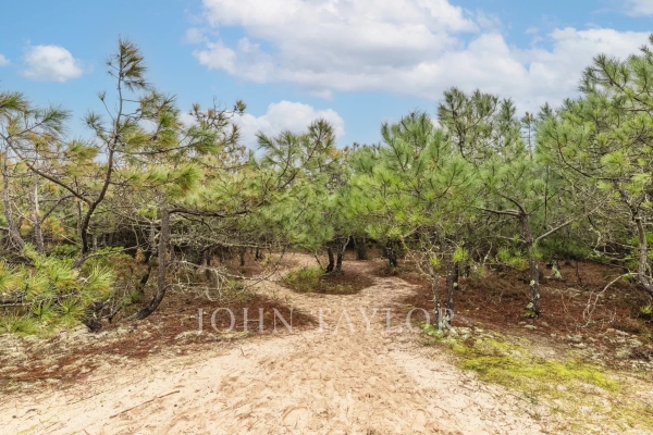 Maison de luxe à vendre à Lege Cap Ferret, 2 520 000 €, Photo 3