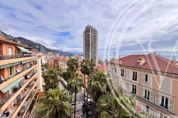 Appartement de luxe à vendre à Beausoleil, 3 900 000 €, Photo 3