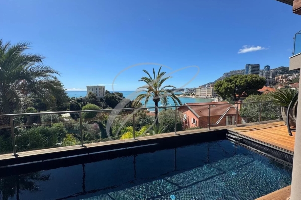 Maison de luxe à vendre à Roquebrune-Cap-Martin, 19 900 000 €, Photo 4