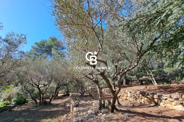 Luxury House for sale in Carqueiranne, 1 780 000 €, Photo 1