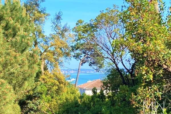 Maison de luxe à vendre à Lege Cap Ferret, 1 995 000 €, Photo 3