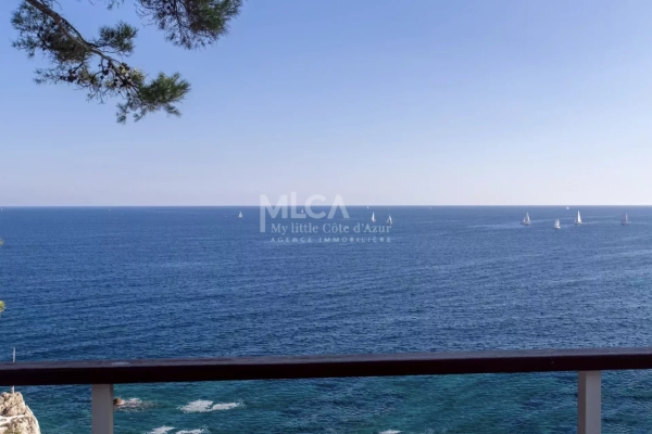 Maison de luxe à vendre à Cap d'Antibes, 4 900 000 €, Photo 3