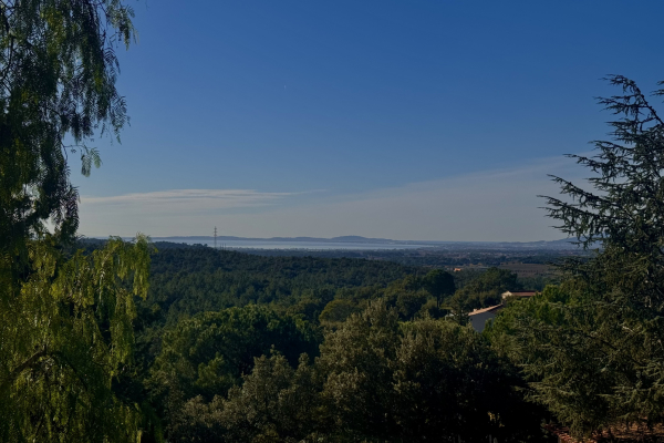 Maison de luxe à vendre à La Londe-les-Maures, 890 000 €, Photo 1