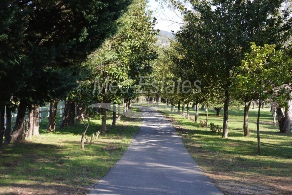 Luxury House for sale in Le Lavandou, 7 900 000 €, Photo 7
