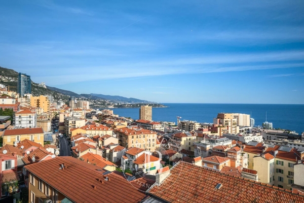 Appartement de luxe à vendre à Beausoleil, 1 695 000 €, Photo 4