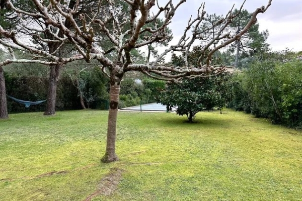 Luxury House for rental in Anglet, 4 176 €, Photo 5